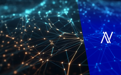 Alessio Vinassa on the Human Impact of Decentralized Networks